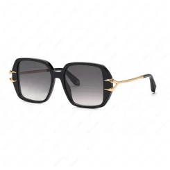 ROBERTO CAVALLI SRC030 0700