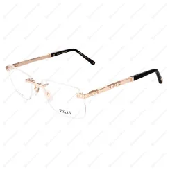 ZILLI 60067 C01 ZILLI 60067 C01