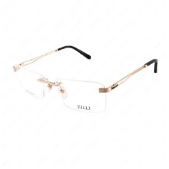 ZILLI 60091 C01 ZILLI 60091 C01