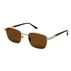 LEISURE SOCIETY Salton Sun 18K Gold (Brown Lens) LEISURE SOCIETY Salton Sun 18K Gold (Brown Lens)